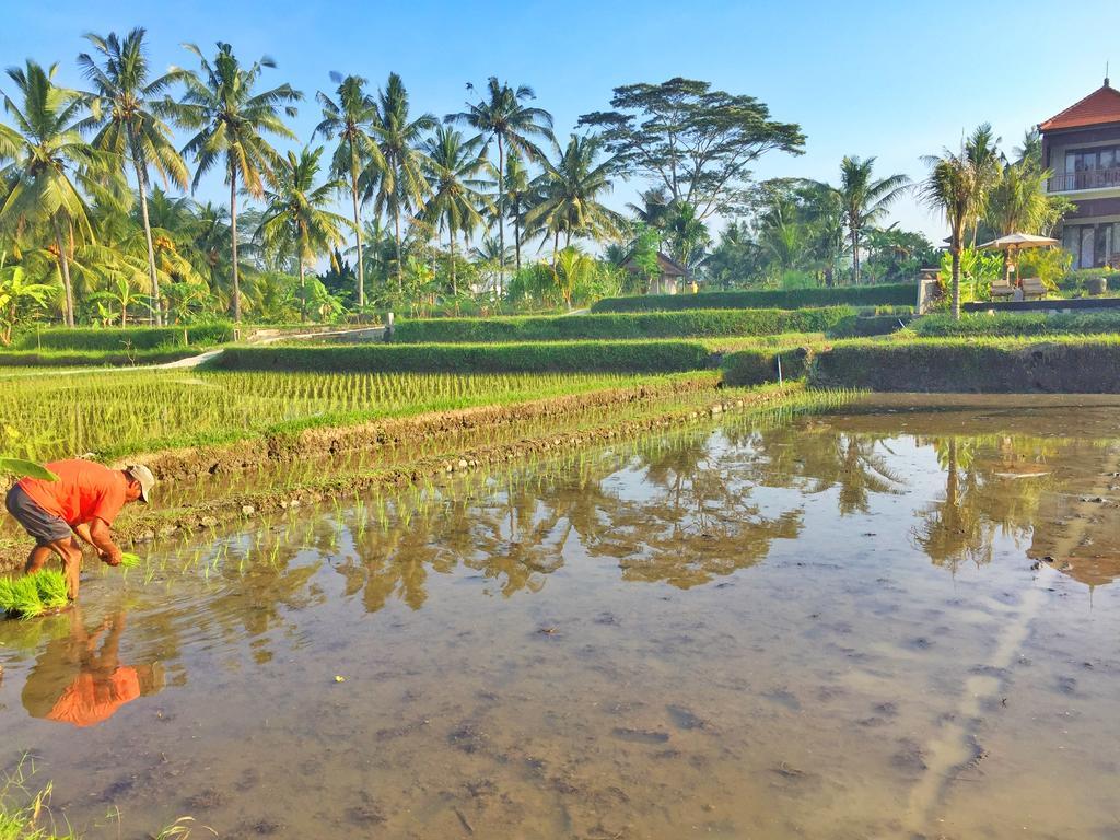 The Suris Ubud Zewnętrze zdjęcie