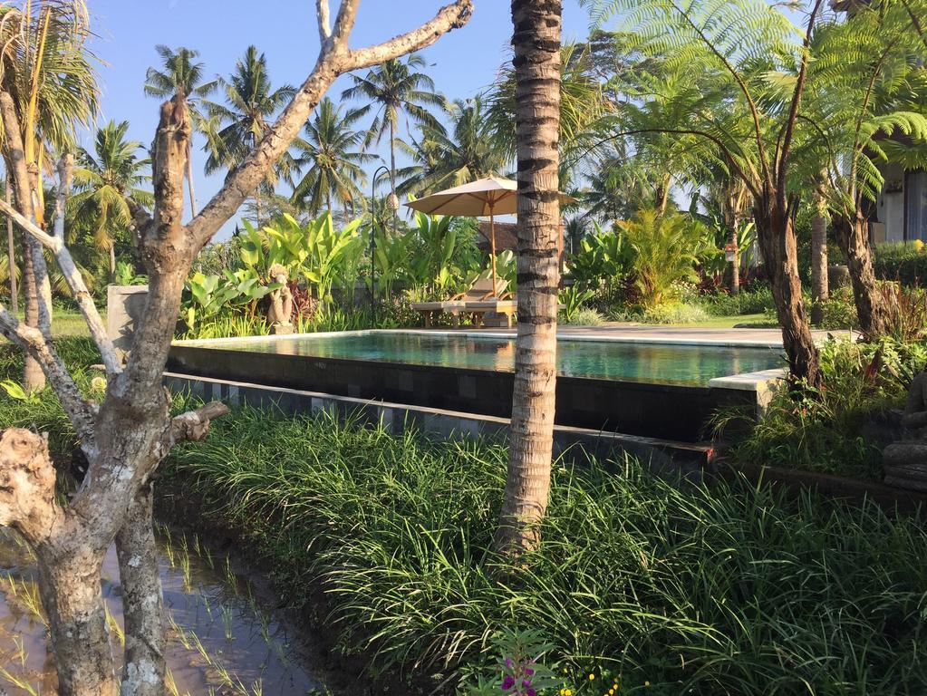 The Suris Ubud Zewnętrze zdjęcie