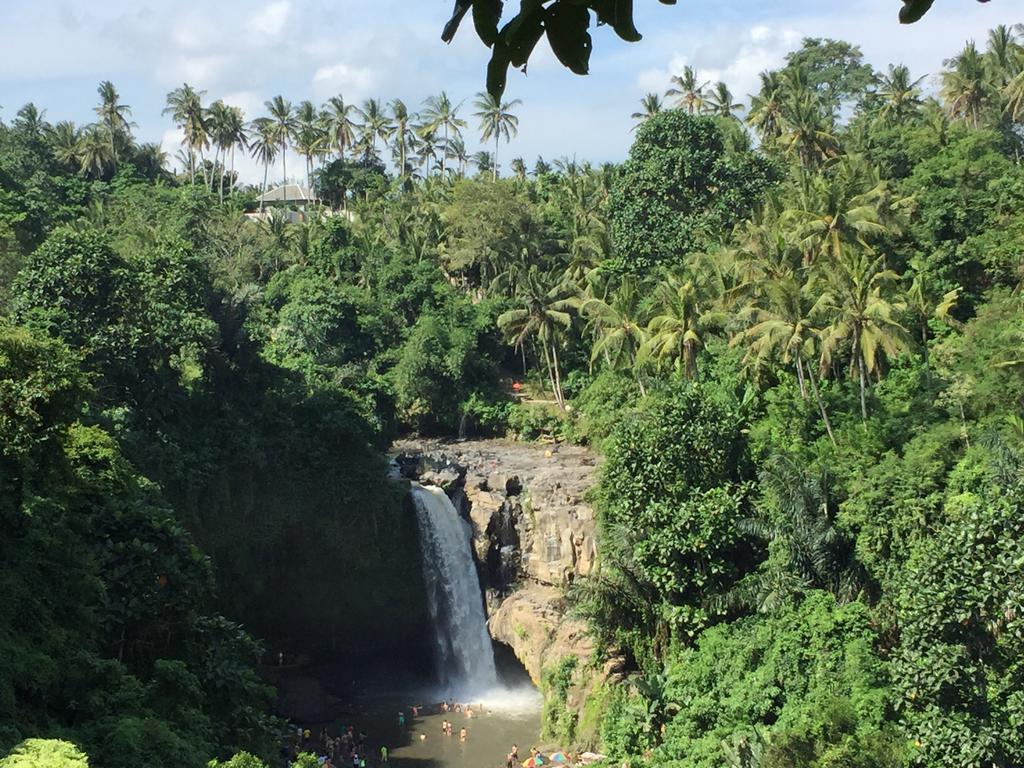The Suris Ubud Zewnętrze zdjęcie