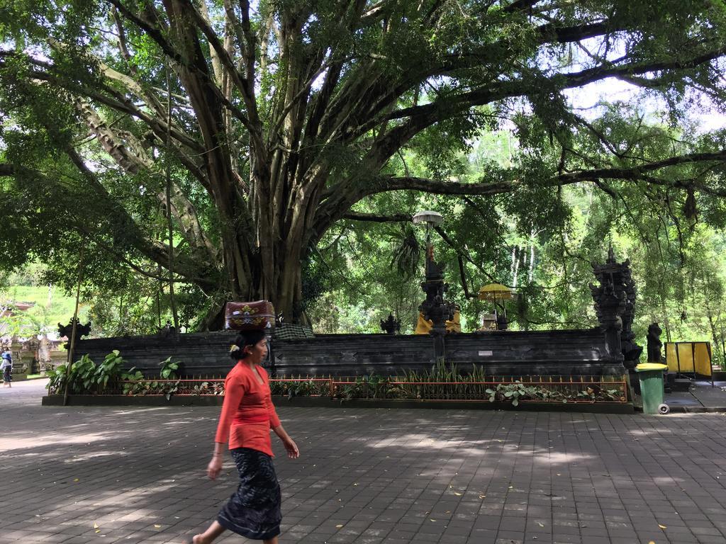 The Suris Ubud Zewnętrze zdjęcie