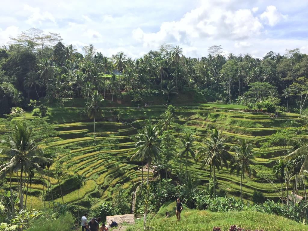 The Suris Ubud Zewnętrze zdjęcie