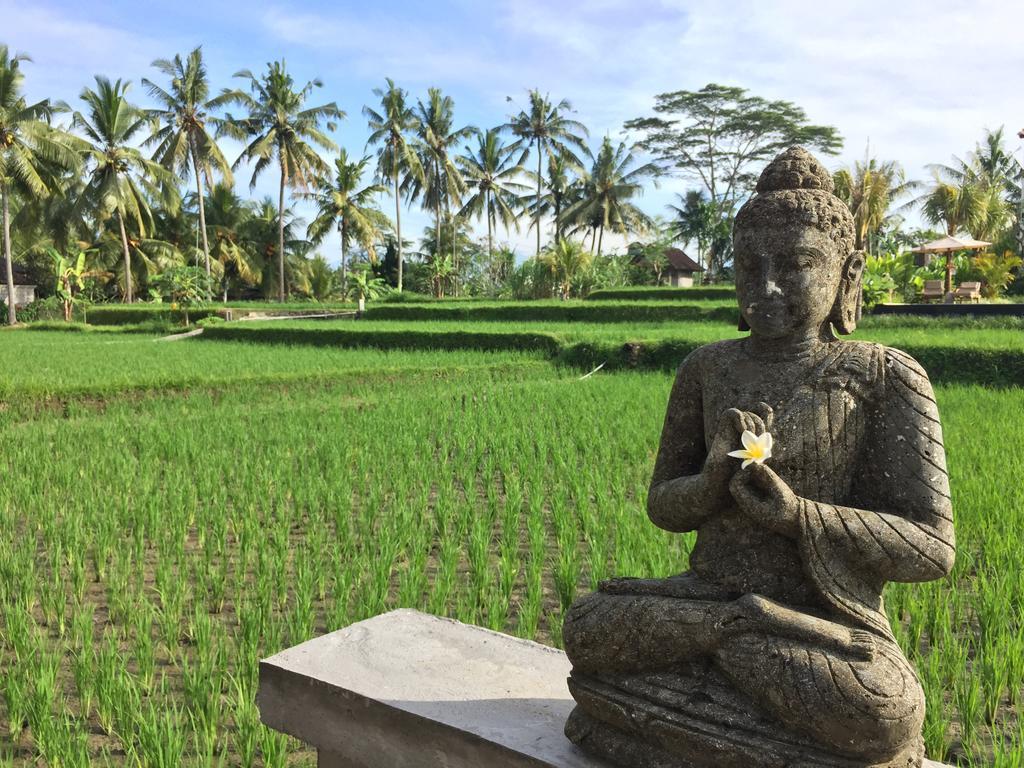 The Suris Ubud Zewnętrze zdjęcie